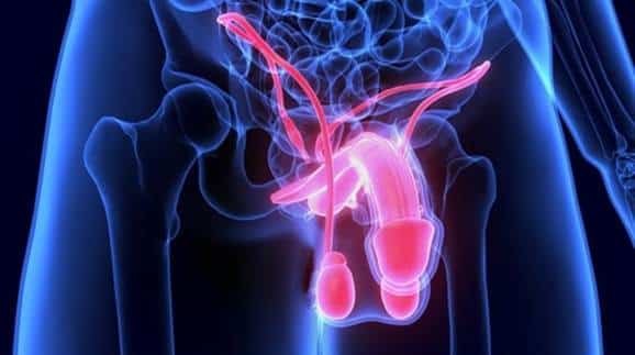 Image at Vivardi Clinics