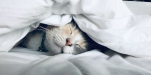 Woman sleeping on silk pillow for skin health