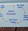 insulin-resistance-write-on-book-keywords-600nw-1822724009 Insulin resistance write on book keywords 600nw