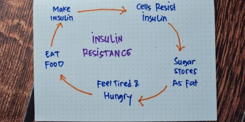 Insulin resistance write on book keywords 600nw