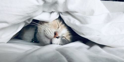 Sleeping man testosterone health rest
