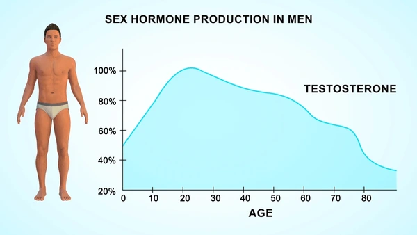 3D illustration of the testosterone molecule